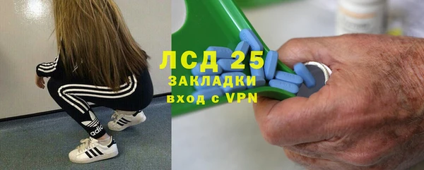 спайс Алзамай