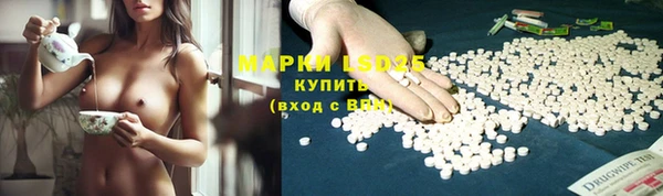 спайс Алзамай