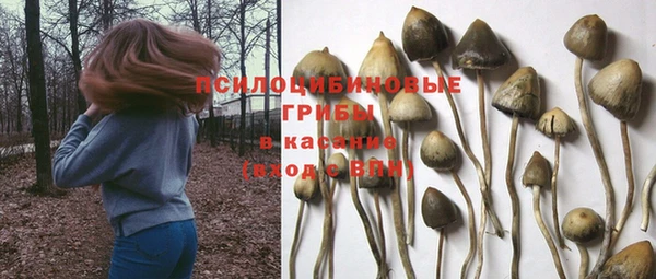 СК Алексеевка