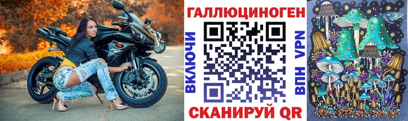 mega вход  наркошоп  Пугачёв  Псилоцибиновые грибы Psilocybe 